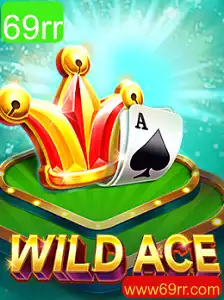 WildAce: Aventura e Estratégia no Tabuleiro
